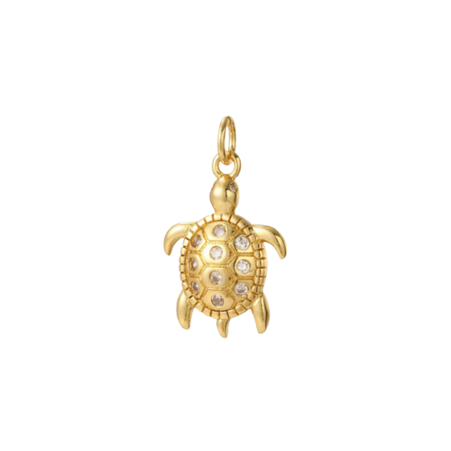 Diamante Turtle