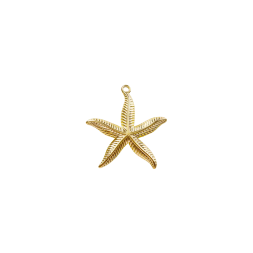 Seychelle Starfish